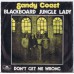 SANDY COAST Blackboard Jungle Lady / Don't Get Me Wrong (Polydor – 2050 245) Holland 1973 PS 45